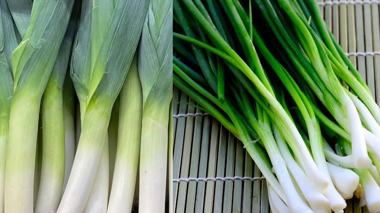 Leek vs green onion: Key differences every home cook should know