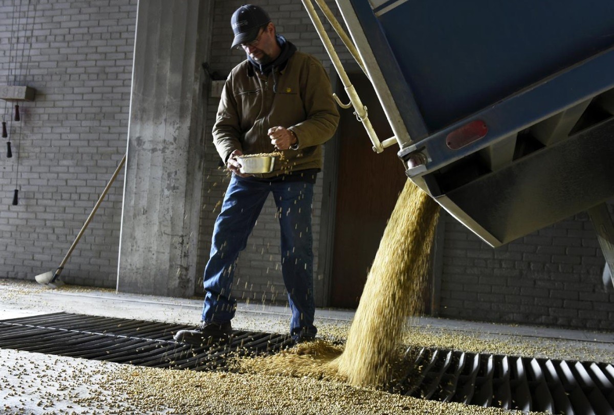 China desdenha da soja dos EUA após tarifas de Trump, e agricultores agora têm um problemão – oglobo.globo.com