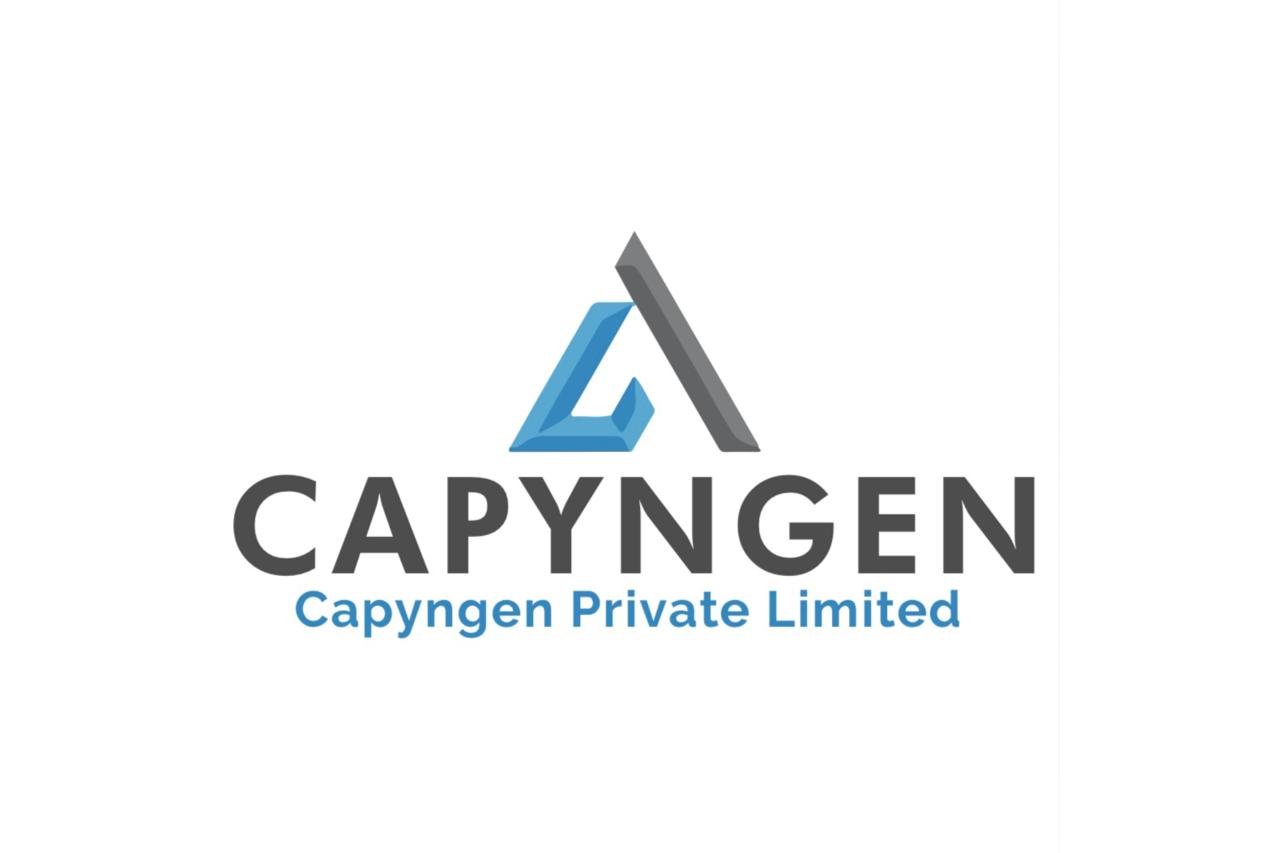 Capyngen Private Limited Strengthens Its Position as a Growing IT Company in India’s Digital Economy